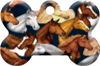 Caballos_02